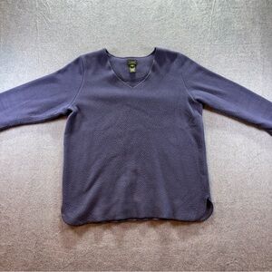 Womens LL Bean Blue V Neck Pullover Soft Fleece Sweater Medium Regular